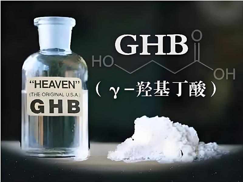 催听迷货到付804-Gw型号